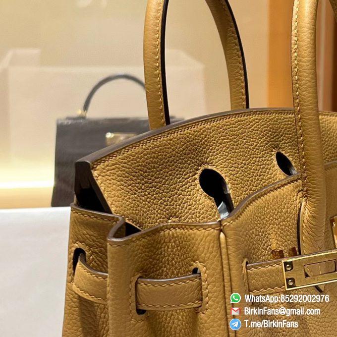 Premium Quality Clone Birkin Handbag 25cm Tabac Camel Togo Leather Gold Plaque 06