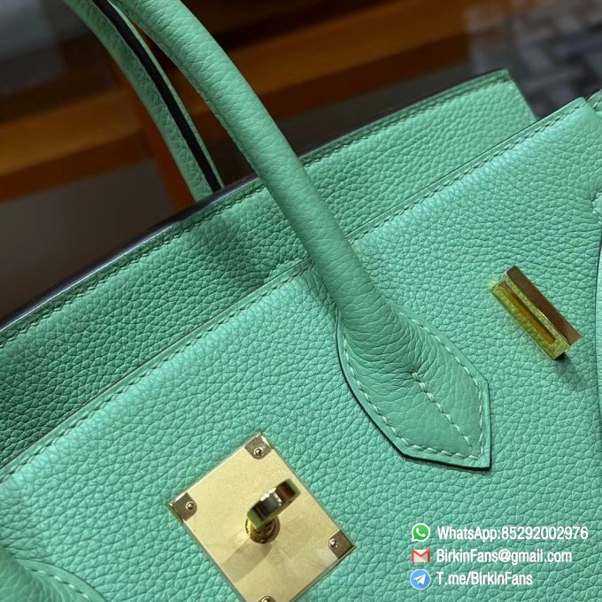 Best Replica Hermes Bags Birkin 25cm Menthe 6W Togo Leather Gold Plaque 2