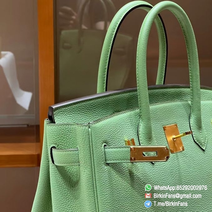 Best Replica Hermes Bags Birkin 25cm Menthe 6W Togo Leather Gold Plaque 3