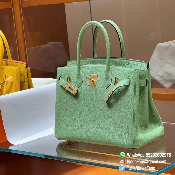 Best Replica Hermes Bags Birkin 25cm Menthe 6W Togo Leather Gold Plaque 6