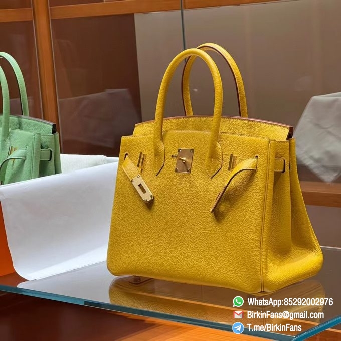 Best Replica Hermes Bags Birkin 25cm Soleil 9H Togo Leather Gold Plaque 5